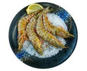 Adelaide seafood