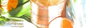 Buy raw eucalyptus honey - wildabouthoney