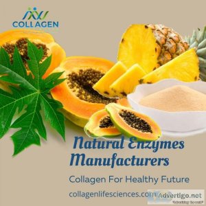 Natural enzymes manufacturers in nashik