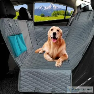 dog bed in the car