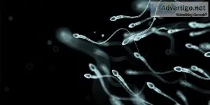Dr niren rao offers the best infertility treatment in delhi