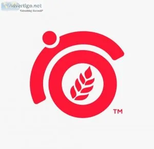 Locate the top affordable seo company india