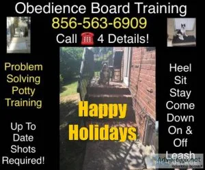 Handling out of control canine 1