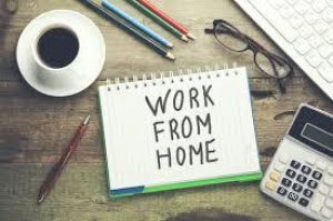 Survey Voices - Work From Home