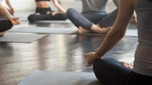 Yoga teacher training course fees in bangalore - anushasan yogpe