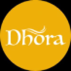 Folk Singers for Wedding in Jaipur - Dhora Music Group