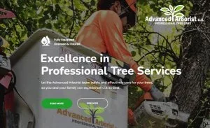 Tree Service of Tampa Bay
