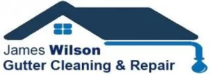Contact For Moss and Ivy Removal Services From James Wilson Gutt