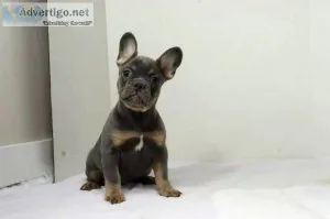Floyd