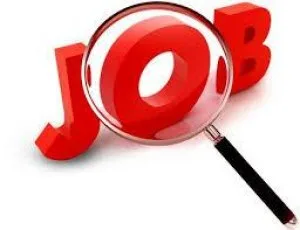 Find the Best Job Now
