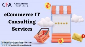 Ecommerce it consultants