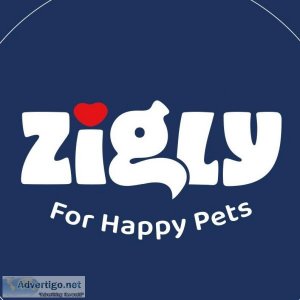 The Best Online Pet Store For All Your Pet Needs
