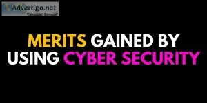 Merits Gained by Using Cyber Security