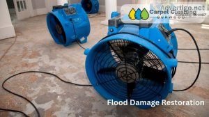 Flood damage restoration burwood