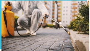National Facilities Direct - Pest Control Services