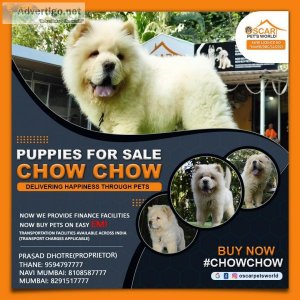 Puppies for sale in thane