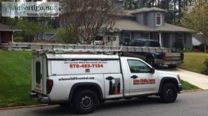 Marietta Georgia pest and bee control services