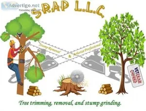 Tree trimmers