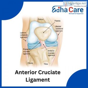 Anterior cruciate ligament in india | edhacare