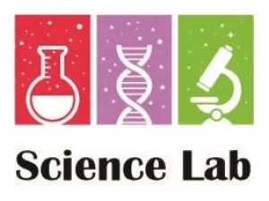 Atom activity