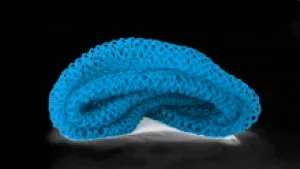 The best body scrubber