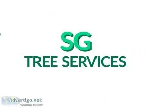 Expert Tree Surgeons For Commercial And Private Clients  SG Tree