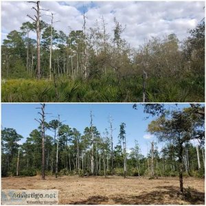 Smith s Tree Services