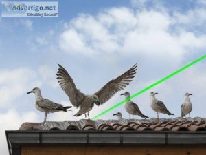 laser bird repellent to scare crows flocks