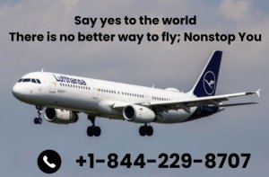 Affordable airfare options: world?s largest airline lufthansa ai