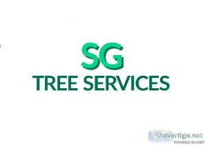 High Quality Tree Pruning Services In Aberdeen