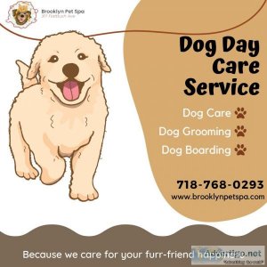 Comfortable and Trusted Dog Care Service   Brooklyn Pet Spa