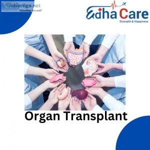 Best organ transplant surgery in india | edhacare
