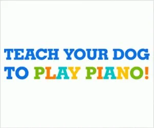 Smartest Way To Make Your Dog Smart