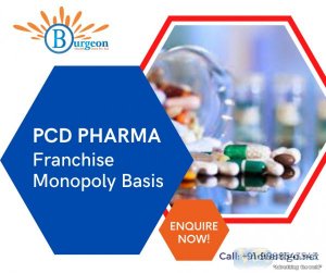 Top pharma franchise companies in india
