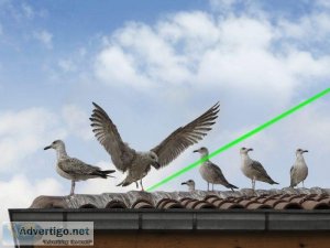 most effective bird repellent laser