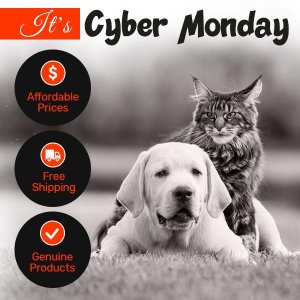 Missed Our Black Friday Sale Don&rsquot Worry Cyber Monday Sale 