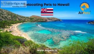 Relocating Pets to Hawaii