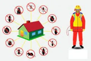 Leading residential best pest control services in gurgaon