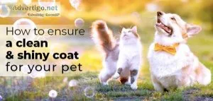 How To Ensure A Clean And Shiny Coat For Your Pet