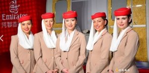 What are airport management courses?