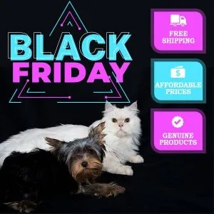 Black Friday Offers are live at eBay Store- Budgetpetsupplies