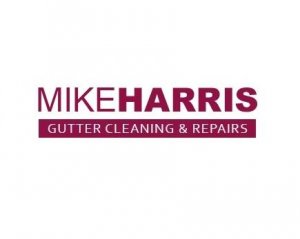 Expert Gutter Maintenance Specialist In Norwich  Mike Harris Gut