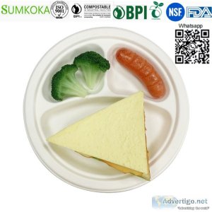 9 inches plate disposable plate round plate bagasse plate