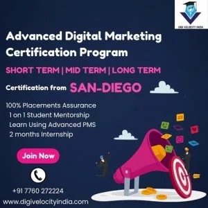 Digital marketing training institute with placement