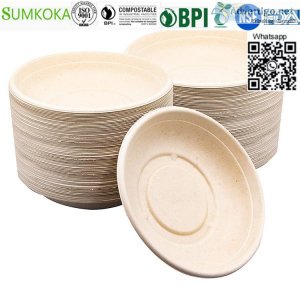 32 oz take out bowl disposable bowl sugarcane bowl salad bowl