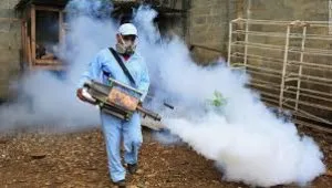 Best pest control for mosquitoes