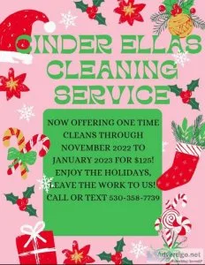 Home cleaning services