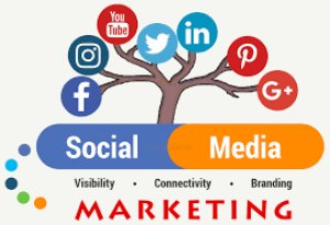 Promote your company s story and news on the right platform