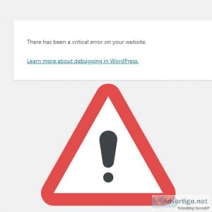 Common wordpress error how to fix