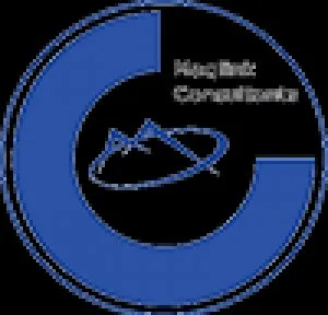 Management consulting firms